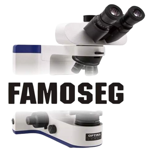 Famoseg Medical Laboratory Logo